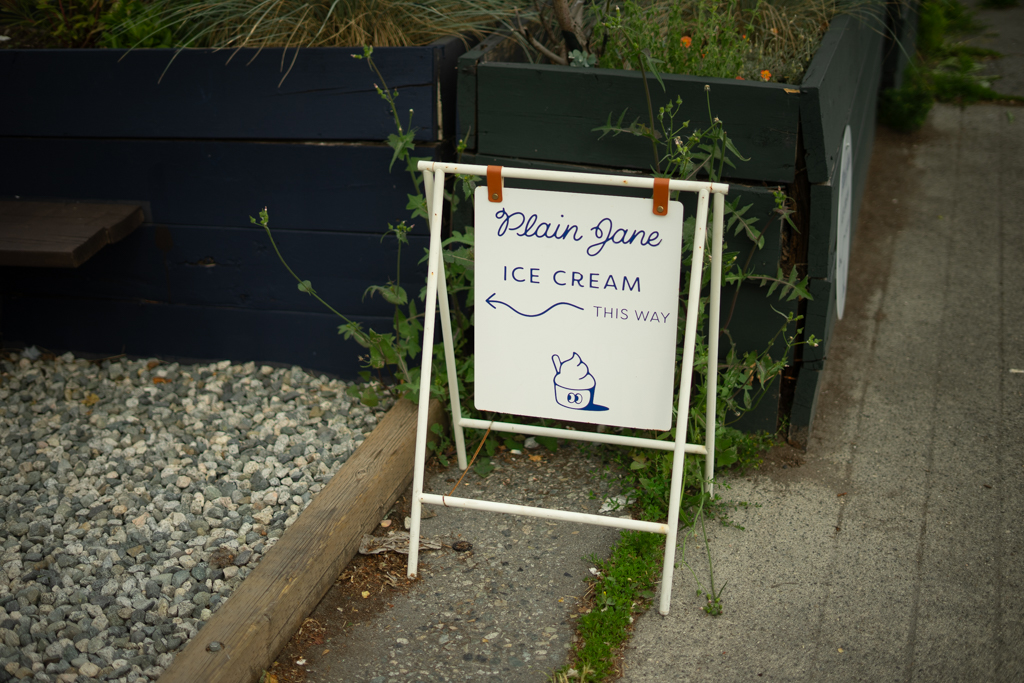 Plain Jane Ice Cream — photo 1