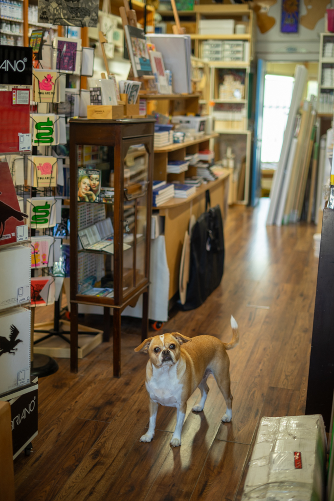 Rath Art Supplies — photo 4