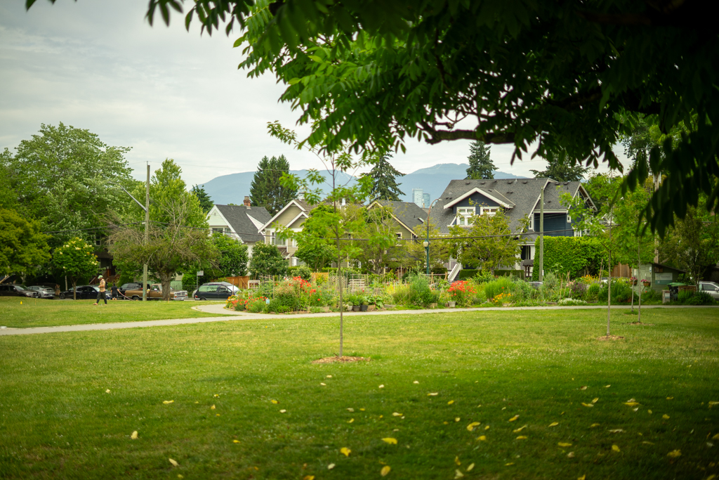 Riley Park — photo 2