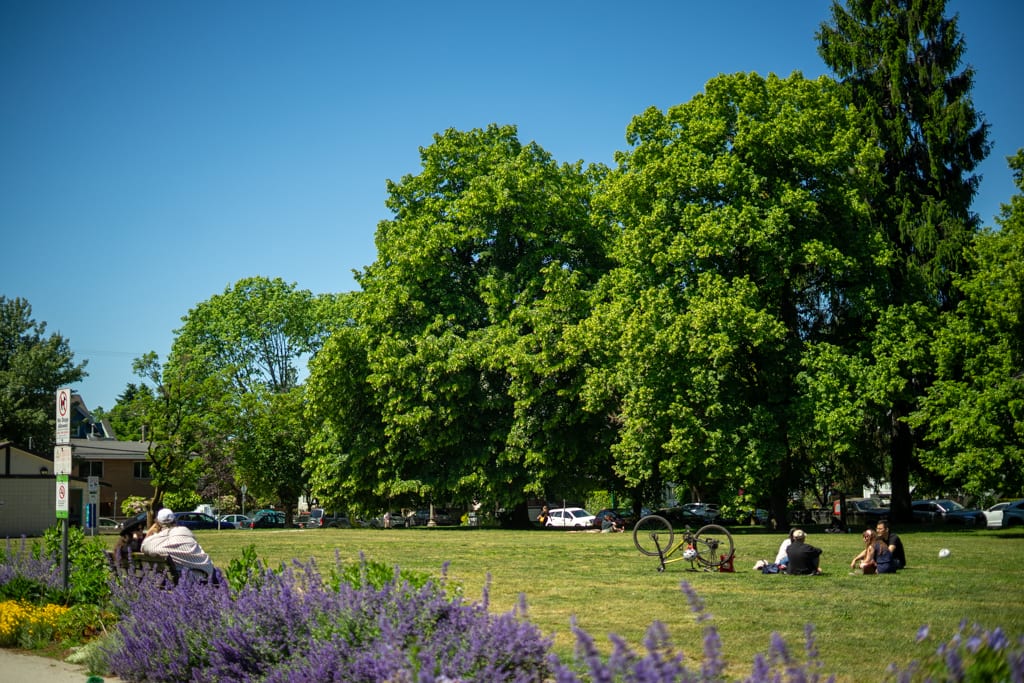 Victoria Park — photo 1