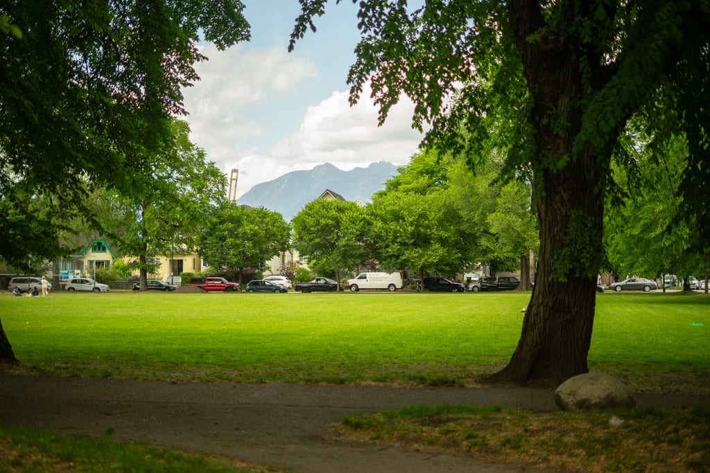 Woodland Park — photo 2